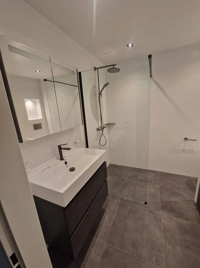 Wastafelmeubel met spiegelkast en inloopdouche met regendouche — badkamerrenovatie in Roden door BontBouw