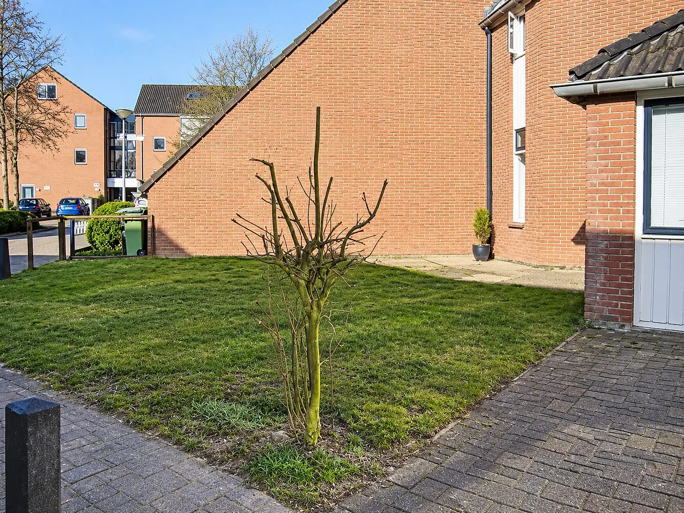 Open gazon zonder erfafscheiding vóór het werk — plaatsen & aanleggen in Beijum door BontBouw
