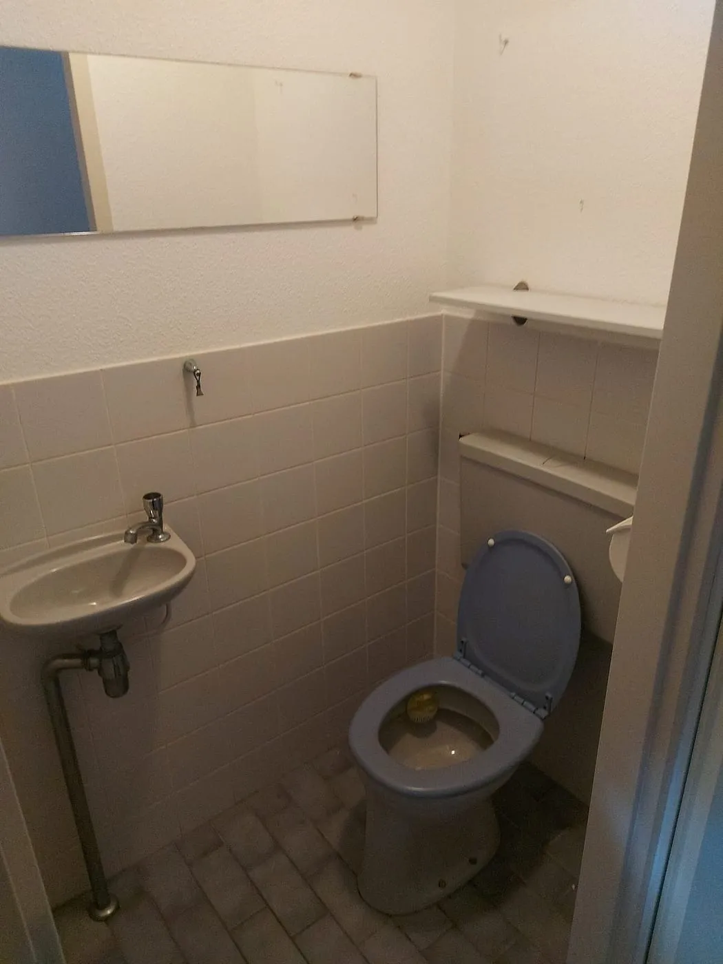 Oud toilet met blauwe bril vóór de renovatie — toiletrenovatie in Schildersbuurt door BontBouw